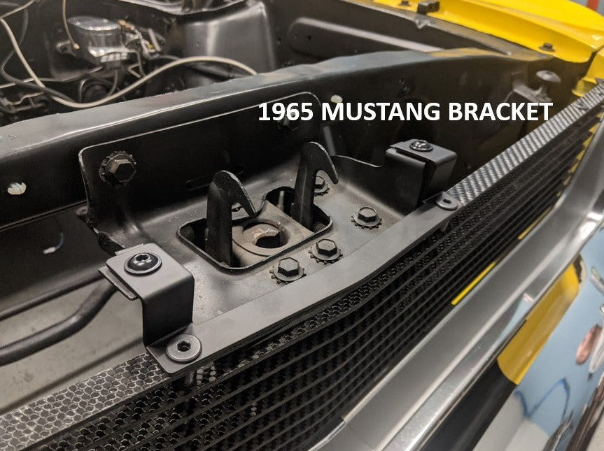 65 - 66 Mustang Billet Carbon Fiber Grille